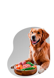 Food and Goods for pets in Sydney, Melbourne, Brisbane, Ballarat, and other cities of Australia