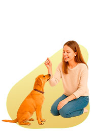 Training and services for pets in Sydney, Melbourne, Brisbane, Ballarat, and other cities of Australia