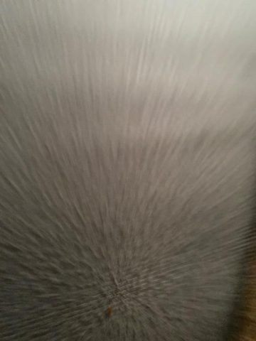 Looking to meet a Transgender Woman