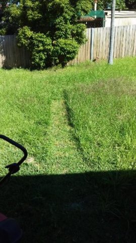 Do You Need weeding or Lawn Mowing