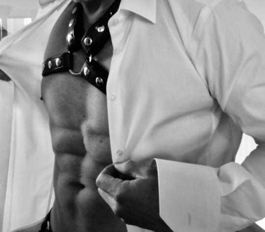 Dominant Male Fastiko au