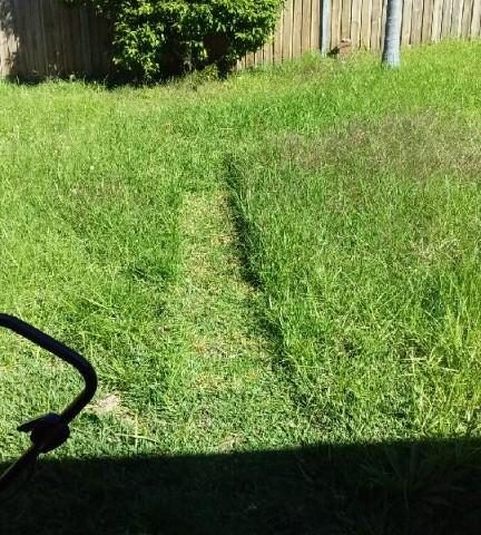 Do You Need weeding or Lawn Mowing
