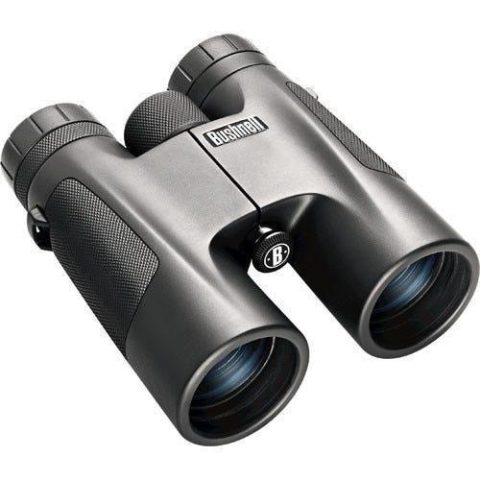 Bushnell Powerview 10×42 Roof Prism Binoculars