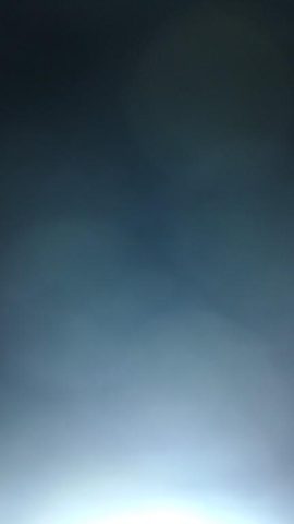 Submissive ass servant